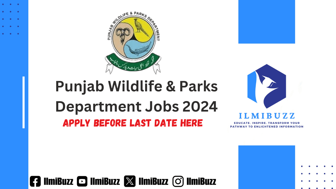 Punjab Wildlife & Parks Department Jobs 2024